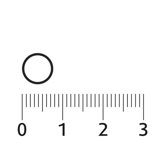 Foliumzuur + Vitamine D3 120 tabletten