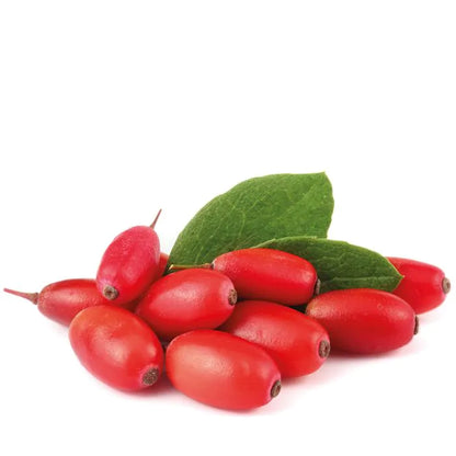Puur Berberine 500 mg