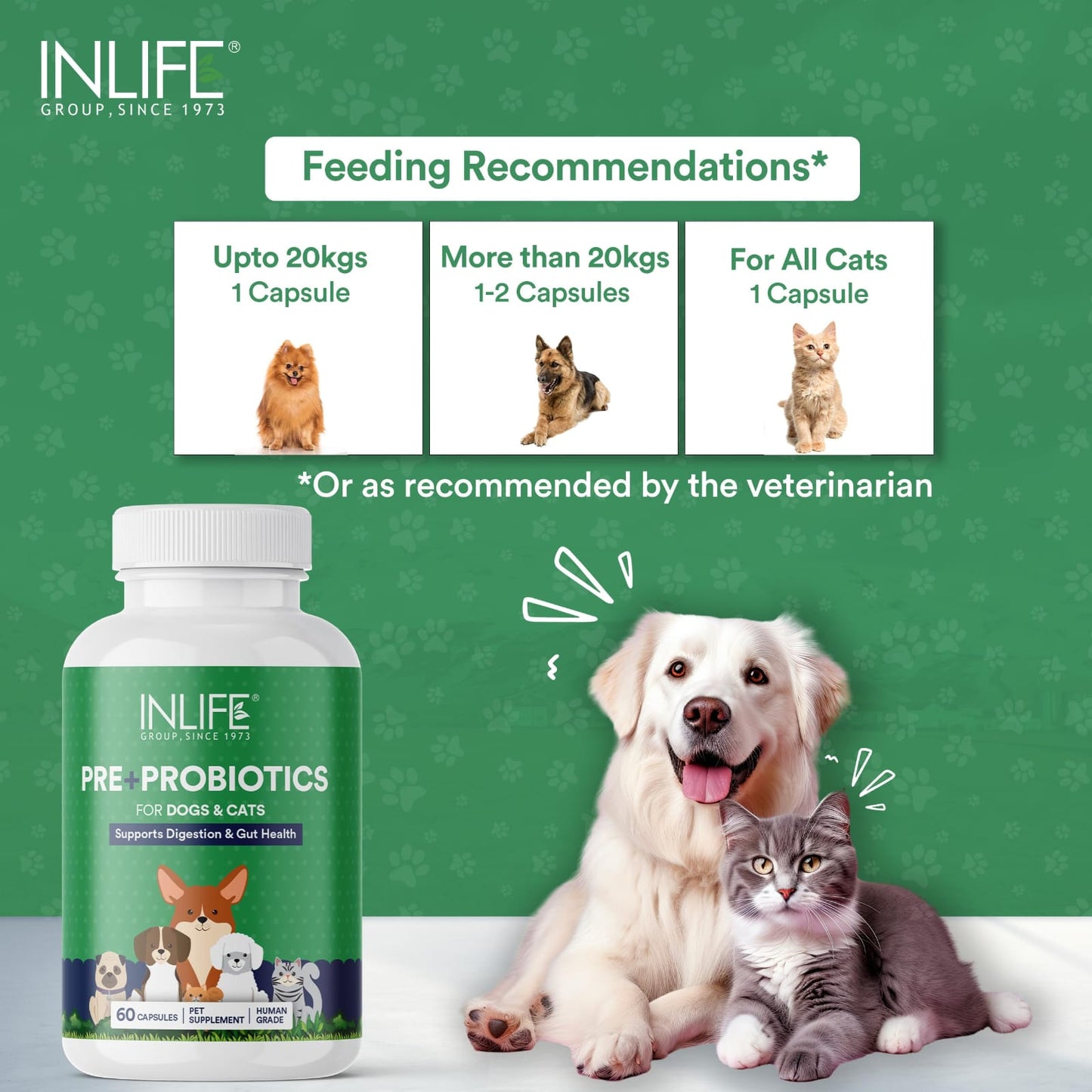 PRE+PROBIOTICS FOR DOGS AND CATS
